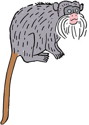Aap | Illustratie Wendy Panders