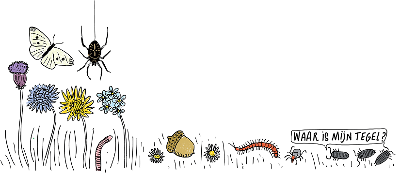 Tuin | Illustratie Wendy Panders